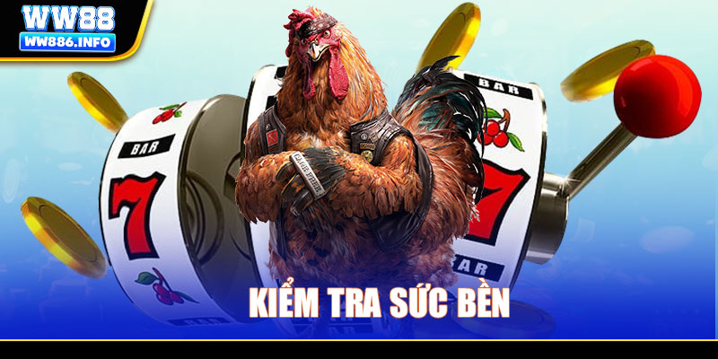 Kiểm tra sức bền 