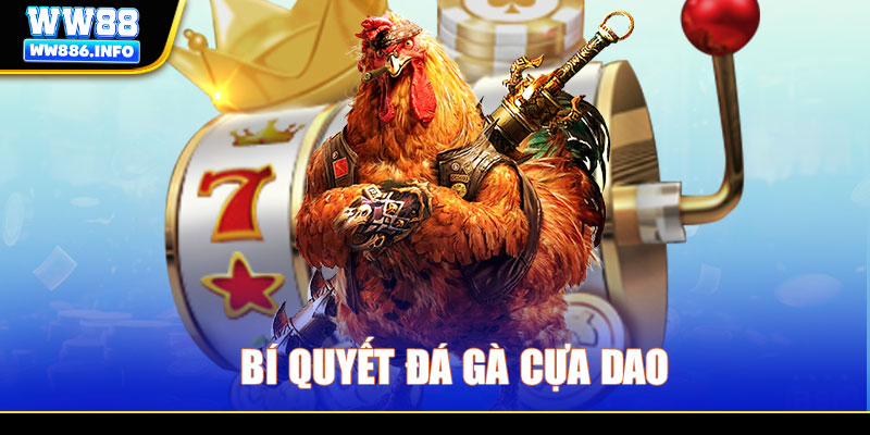 Bí quyết đá gà cựa dao giúp sư kê nhận thưởng lớn tại WW88