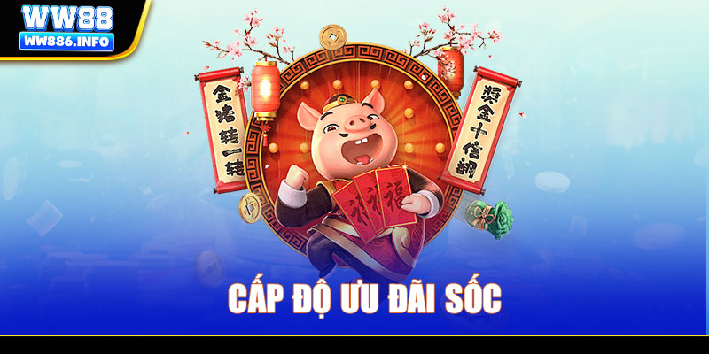 Cấp độ ưu đãi sốc