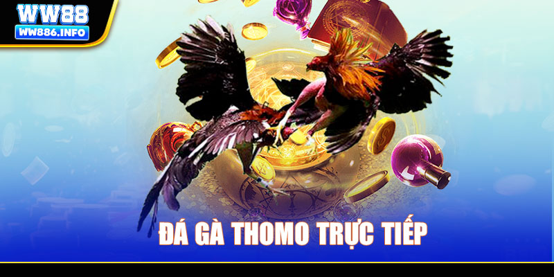 Trải nghiệm trận kê đình đám